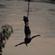 Bungee jumping in Uganda